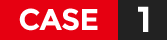 case1