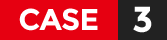case3